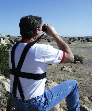 web_glassing1.jpg